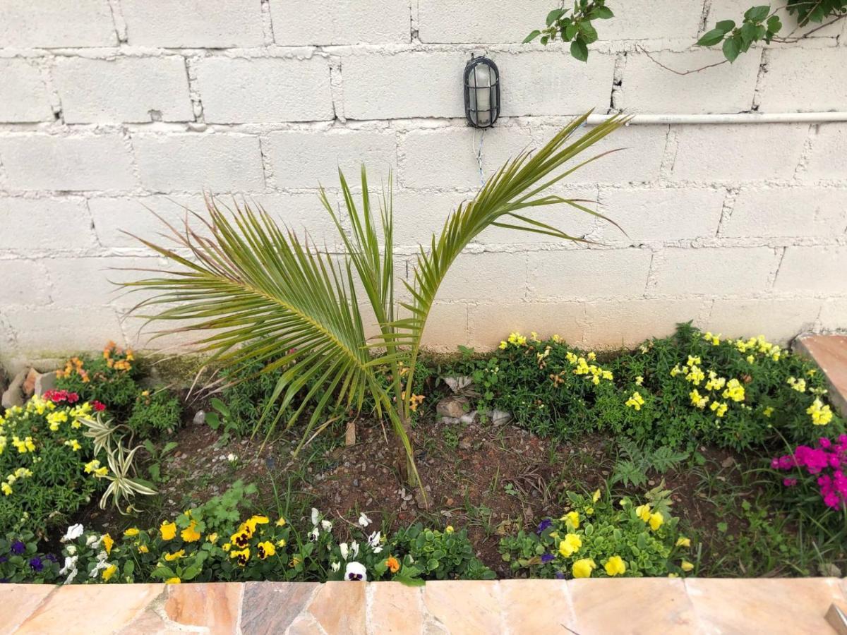Holiday home Linda Casa Piscina Natureza
